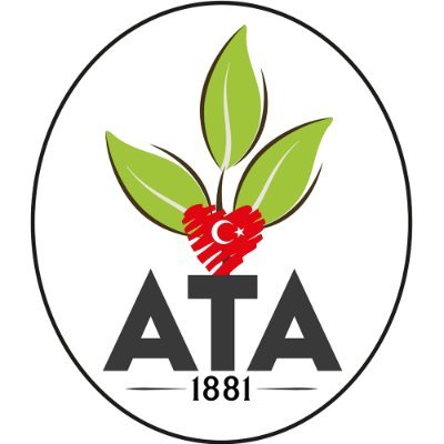 A Takımı
